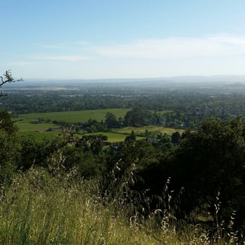 Foothill Regional Park - View from the top. Pics don't do it justice. Go check it out for yourself! - Hiking Near Me - Windsor, California