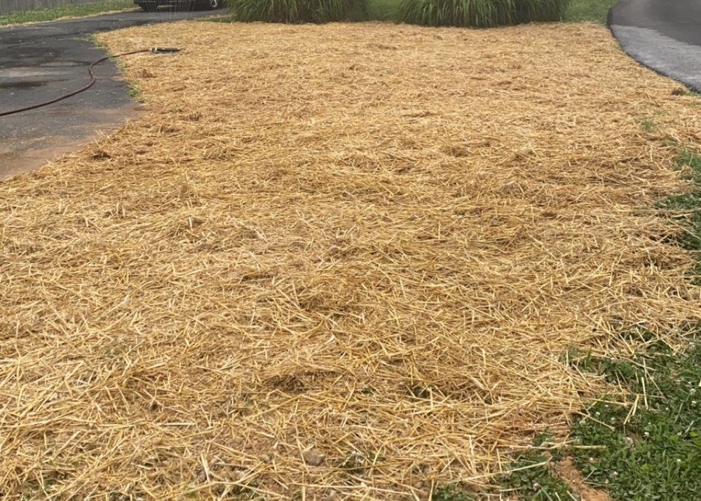 Pickles Services - septic in Taneytown, MD