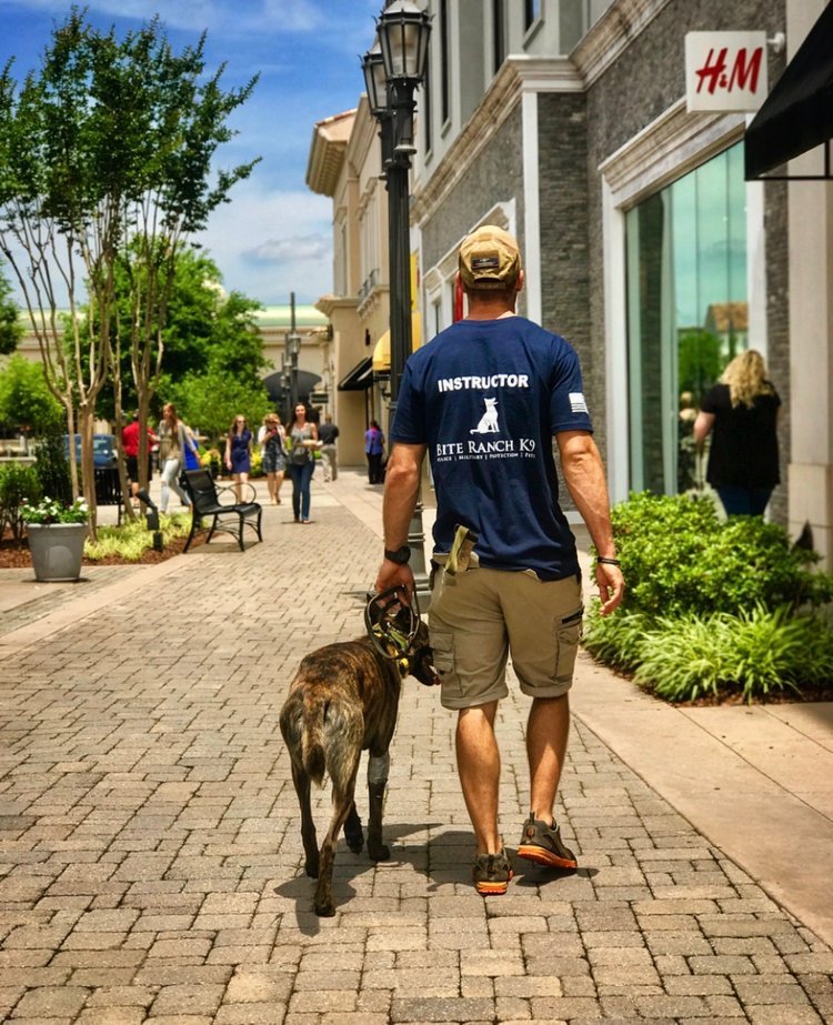 BITE RANCH K9 Updated October 2024 1001 Ryland Pike, Huntsville