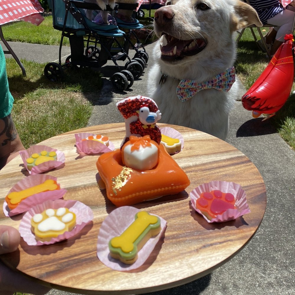 Mishka - Thank you Mishka for the custom birthday cake & treats for Samurai's birthday party. All his doggie friends loved it & especially Samurai. - Pet Stores Near Me - San Francisco, California Mishka - Thank you Mishka for the custom birthday cake & treats for Samurai's birthday party. All his doggie friends loved it & especially Samurai. - Pet Stores Near Me - San Francisco, California
