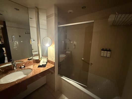 Sofitel Lyon Bellecour by null