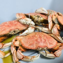 Boxing Crab - Whole Dungeness Crab 2lbs+