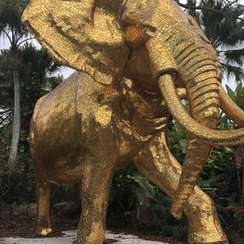 Zoo Miami - Giant elephant made of gold - Zoos Near Me - Miami, Florida Zoo Miami - Giant elephant made of gold - Zoos Near Me - Miami, Florida