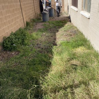 Strong Junk Removal - After south side of house - Junk Removal & Hauling Near Me - Chandler, Arizona