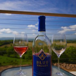 $20 savings at Blue Valley Vineyards in Delaplane, VA. Virginia Wine Pass members receive a BOGO full tastings