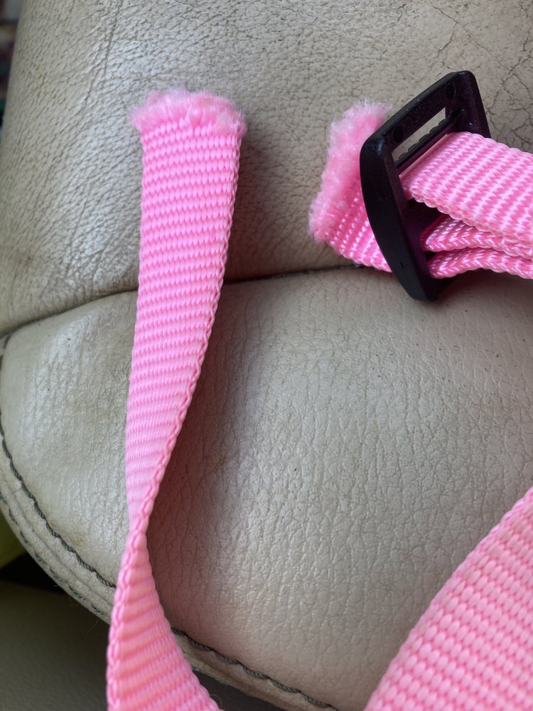 SMOKY MOUNTAIN PETS SUPPLIES & GROOMING Updated September 2024 10