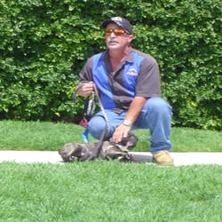 American Canine Training