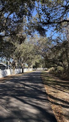 West Orange Trail by null