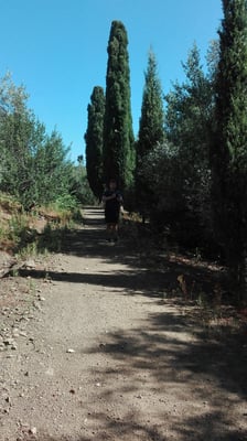 Isola Maggiore by null