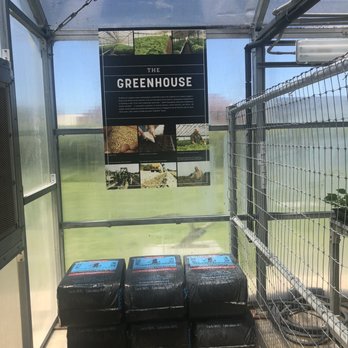 Tabasco - The Greenhouse - Specialty Food Near Me - Avery Island, Louisiana