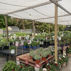 Sunshine Gardens