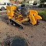 Photo of Bay Stump Removal