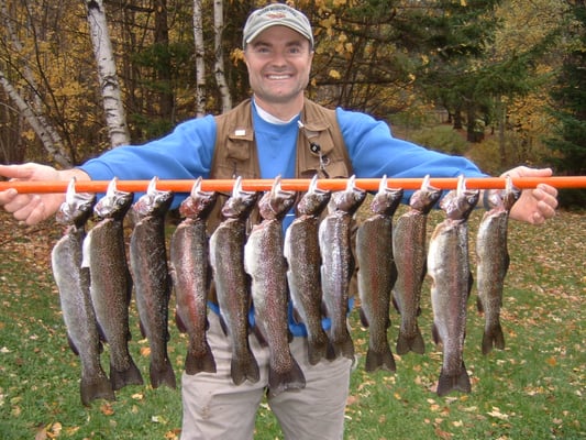 Moose Meadow Lodge & Treehouse by null