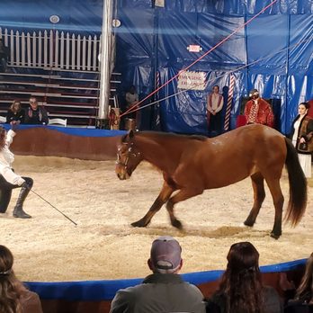 Zoppé circus - Horse act - Performing Arts Near Me Zoppé circus - Horse act - Performing Arts Near Me