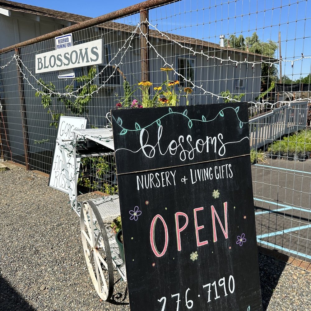 Blossoms - Florists Near Me - Cottonwood, California