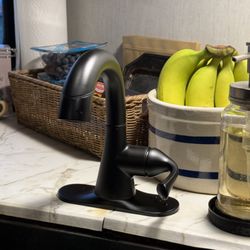 The RV Doctor - Smaller faucet with sprayer.