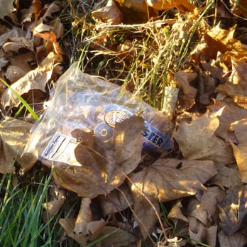 Stewart Park - Litters - Parks Near Me - Ithaca, New York
