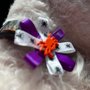 Photo of Hair Of The Dog Pet Grooming