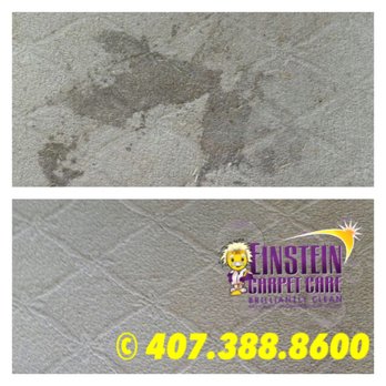 Einstein Carpet Care - Carpet Cleaning Near Me - Winter Garden, Florida