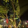 Photo of Terraza Orizaba