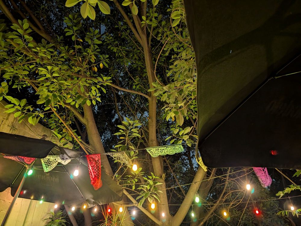 Terraza Orizaba