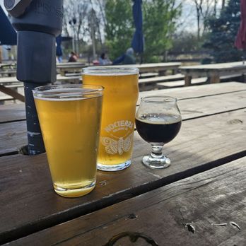 Nocterra Brewing - Breweries Near Me - Powell, Ohio