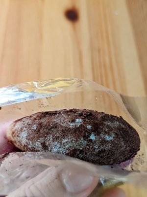 J.Sweets San Diego Store by null