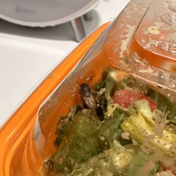 Salad and Go - fajita salad with extra protein (crickets ) - Salad Near Me - Phoenix, Arizona Salad and Go - fajita salad with extra protein (crickets ) - Salad Near Me - Phoenix, Arizona
