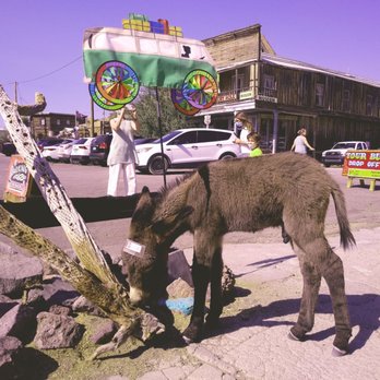 New Diggin's - Gift Shops Near Me - Oatman, Arizona New Diggin's - Gift Shops Near Me - Oatman, Arizona