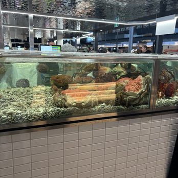 Sydney Fish Market - Seafood Markets Near Me - Pyrmont, NSW Sydney Fish Market - Seafood Markets Near Me - Pyrmont, NSW