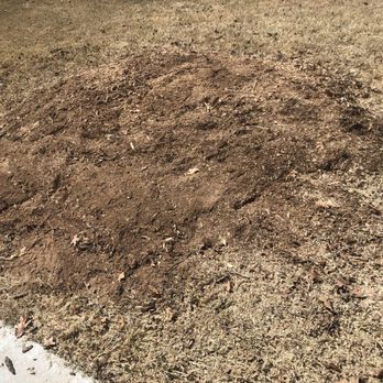 Urban Arborists - Tree Services Near Me Urban Arborists - Tree Services Near Me