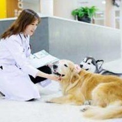 River Bend Animal Clinic