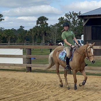 Split Oak Farm - Turning the corners - Horse Boarding Near Me - Bunnell, Florida