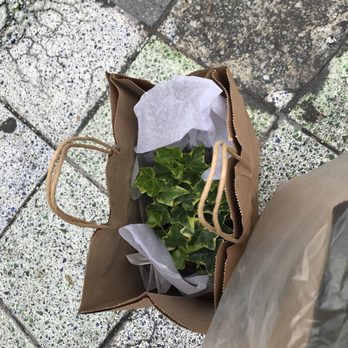 PlantShed - Florists Near Me - New York, New York PlantShed - Florists Near Me - New York, New York