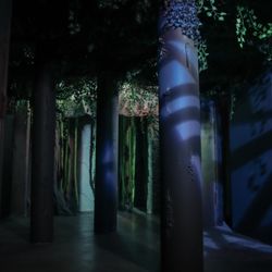 CHS Haunt - Enter if you dare