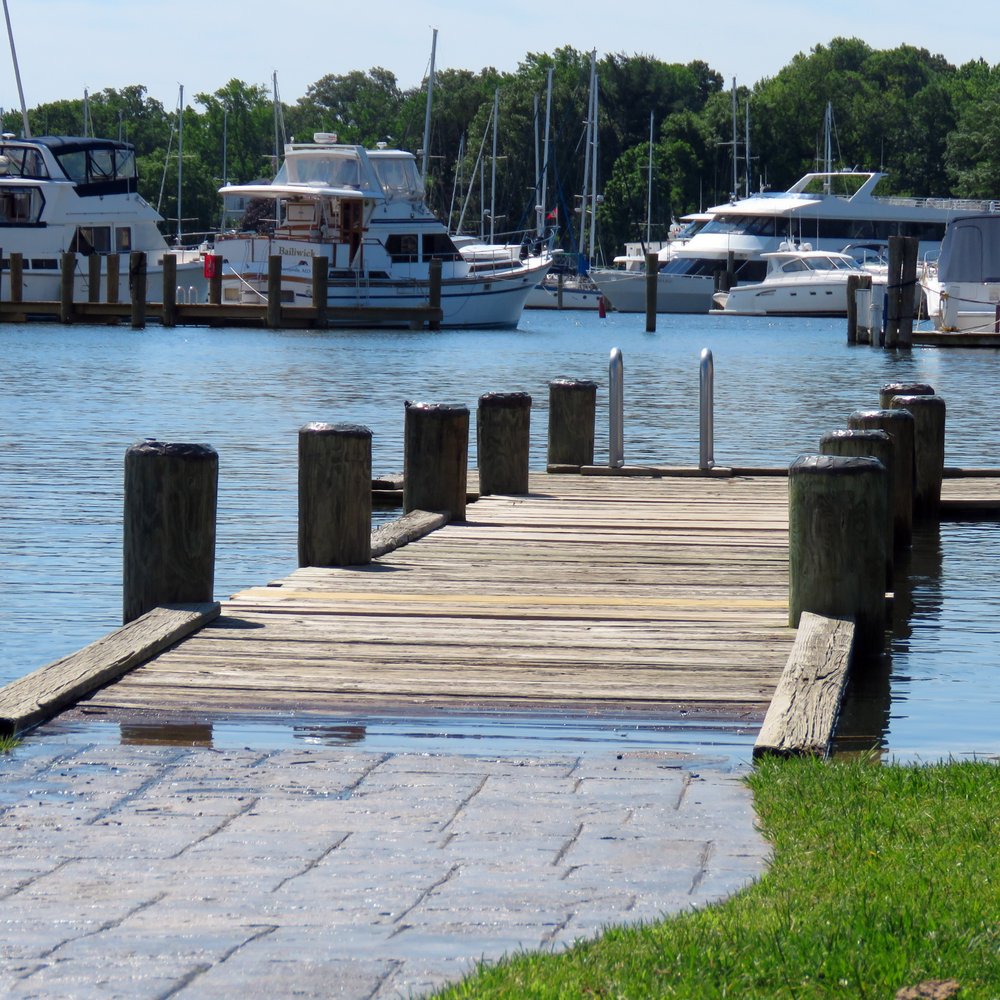 Davis Park - A view of Back Creek and the marina. - Parks Near Me - Annapolis, Maryland Davis Park - A view of Back Creek and the marina. - Parks Near Me - Annapolis, Maryland