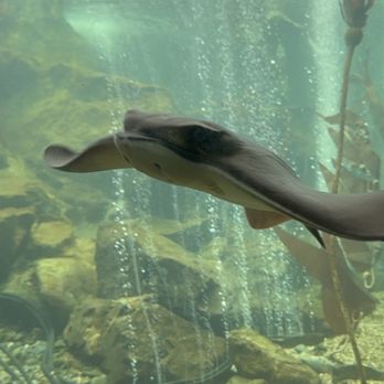 Ocean World - Aquariums Near Me - Crescent City, California