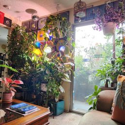 My Ashlee Manor Mini Disco Museum adorned with greenery and music collections of mostly vintage media sources.