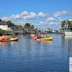 Kayak Excursions - Manatee sighting!