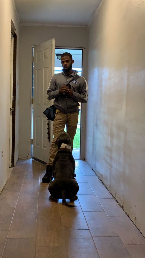 Woofred's Dog Training - pet boarding facility in Gretna, LA