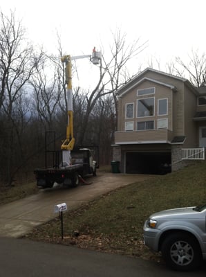 Tree Services - Here is a collection of some of the trees i've worked on. We will trim, remove, and tackle all of your tree service needs. Call me below for your free consultation!