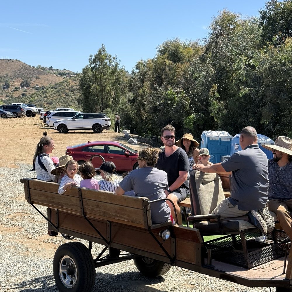 Bonsall Berry Farm - Pick Your Own Farms Near Me - Bonsall, California Bonsall Berry Farm - Pick Your Own Farms Near Me - Bonsall, California