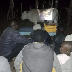 Buffalo Grove, Willow Stream Park: Movies Under The Stars