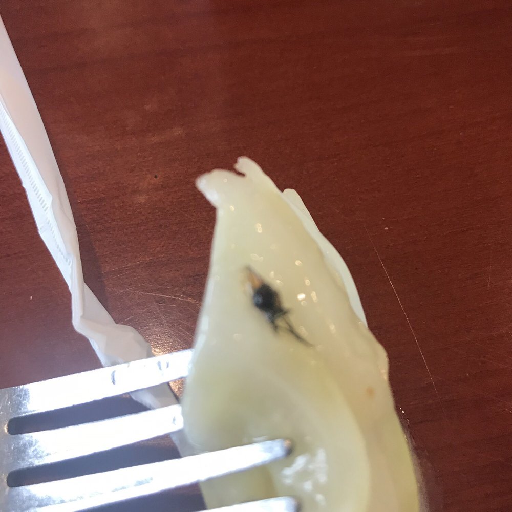 Dead cooed fly in buffet cabbage