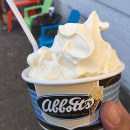 Single cup of rich and creamy vanilla frozen custard