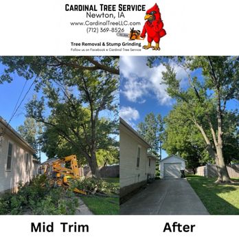 Cardinal Tree Service - Tree Services Near Me Cardinal Tree Service - Tree Services Near Me