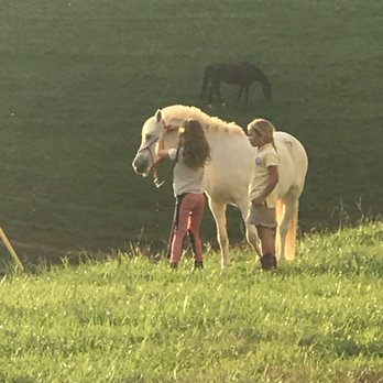 Pegasus Hill Farm - Walking with Sushi - Horseback Riding Near Me - Alexander, North Carolina Pegasus Hill Farm - Walking with Sushi - Horseback Riding Near Me - Alexander, North Carolina