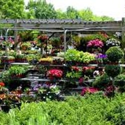 Agrola Garden Centre