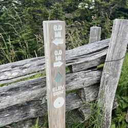 Mount Mitchell State Park - We made it!