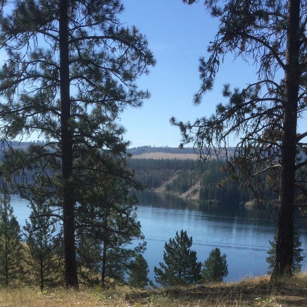 Riverside State Park - There's alot of this up here... - Parks Near Me - Spokane, Washington Riverside State Park - There's alot of this up here... - Parks Near Me - Spokane, Washington